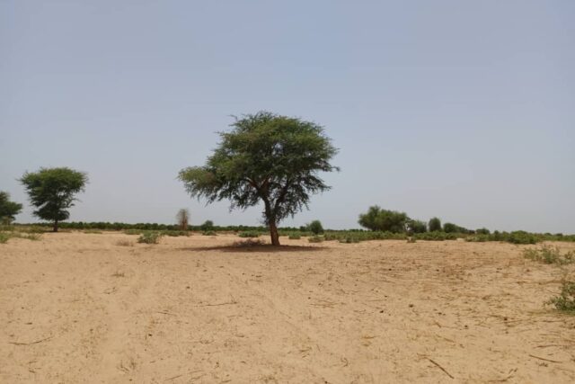 Terrain de 2,04 hectares vers Tassette