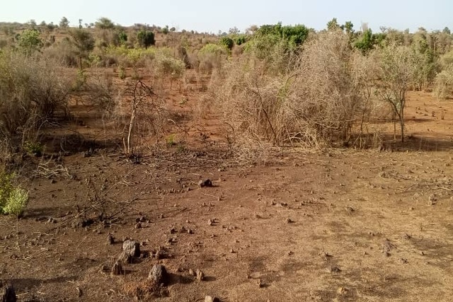 Terrain 1,5 ha à vendre – Sindia, Mbour