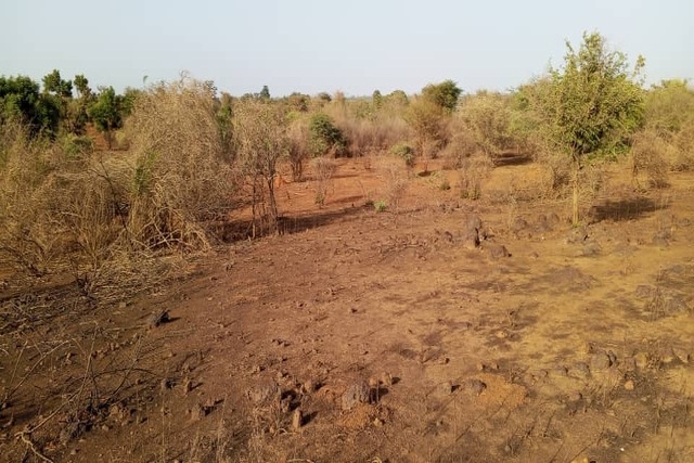 Terrain 1,5 ha à vendre – Sindia, Mbour