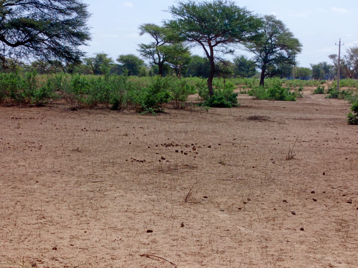 Terrain 21,05 ha à vendre – Thiénaba, Thiès