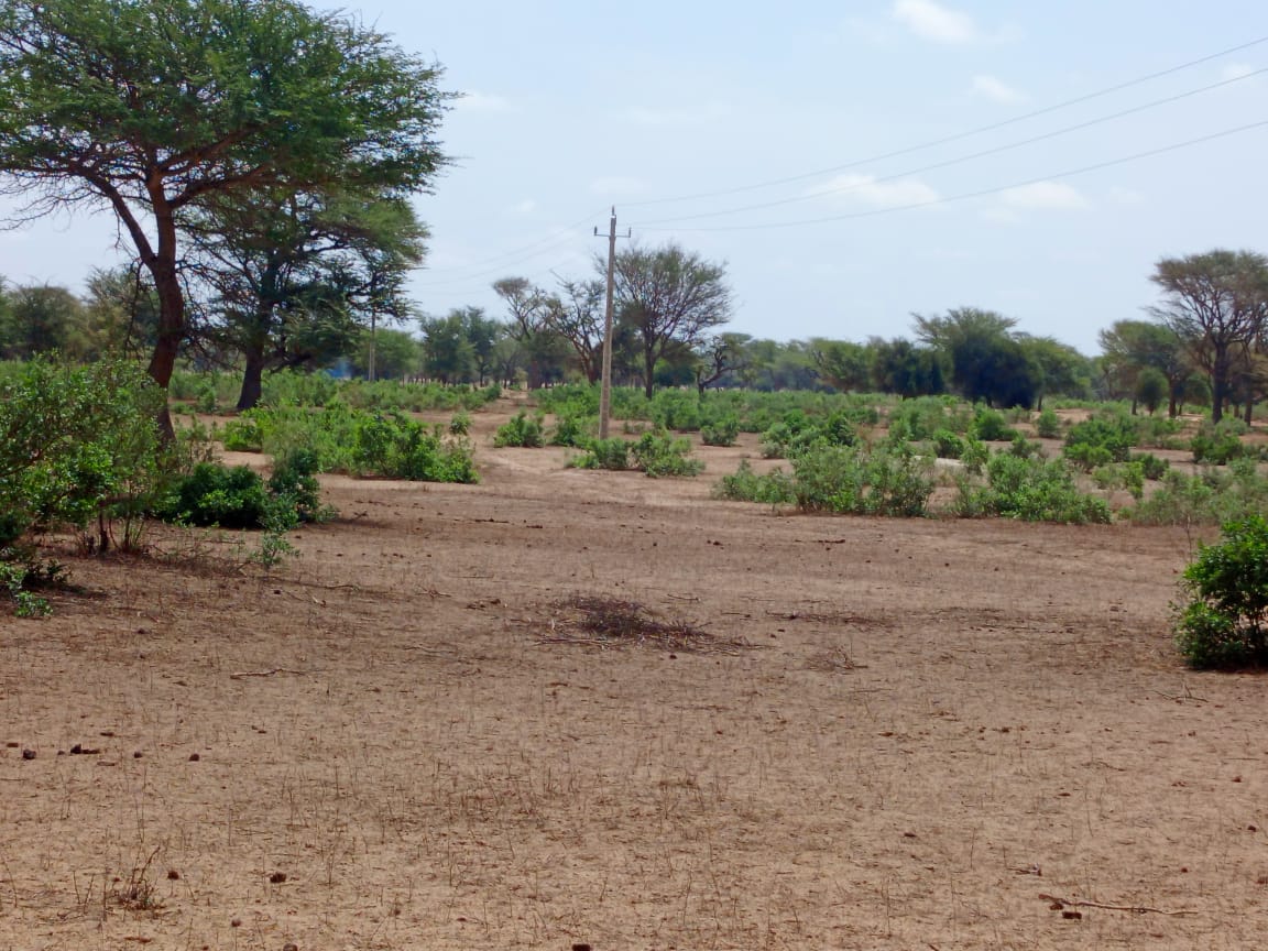 Terrain 21,05 ha à vendre – Thiénaba, Thiès