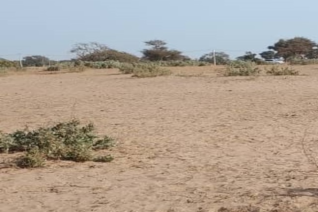 Terrain 5 ha à vendre – Notto Diobass, Thiès