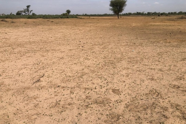 Terrain 9000 m² à Vendre — Tassette, Thiès