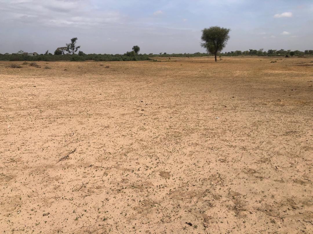 Terrain 9000 m² à Vendre — Tassette, Thiès
