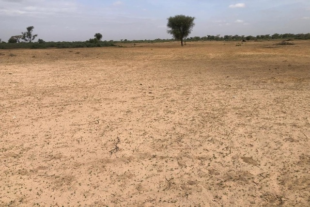 Terrain 9000 m² à Vendre — Tassette, Thiès