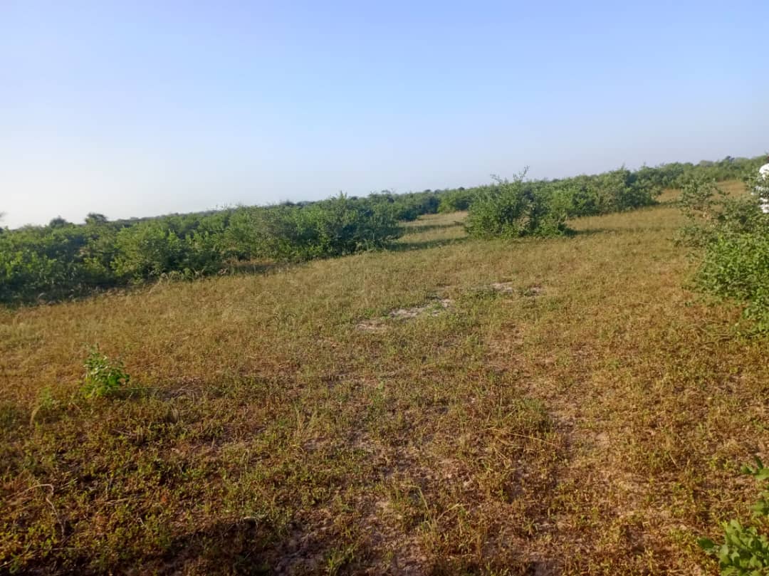 Terrain 9 ha à vendre – Notto Diobass, Thiès