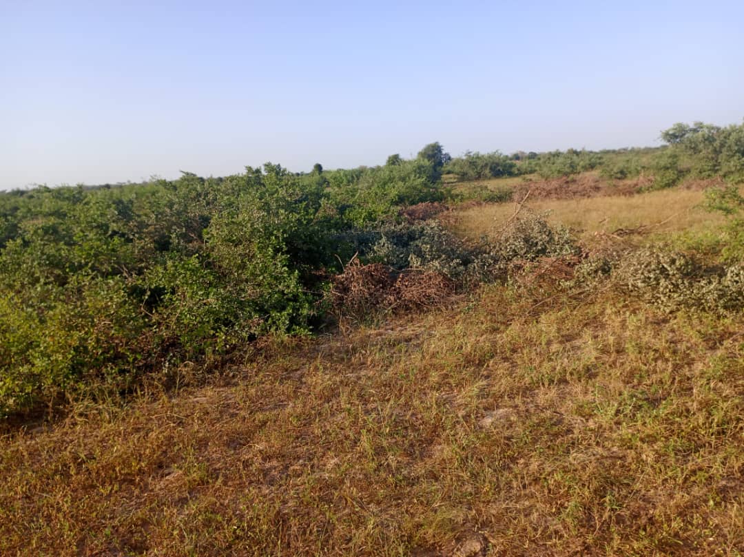 Terrain 9 ha à vendre – Notto Diobass, Thiès