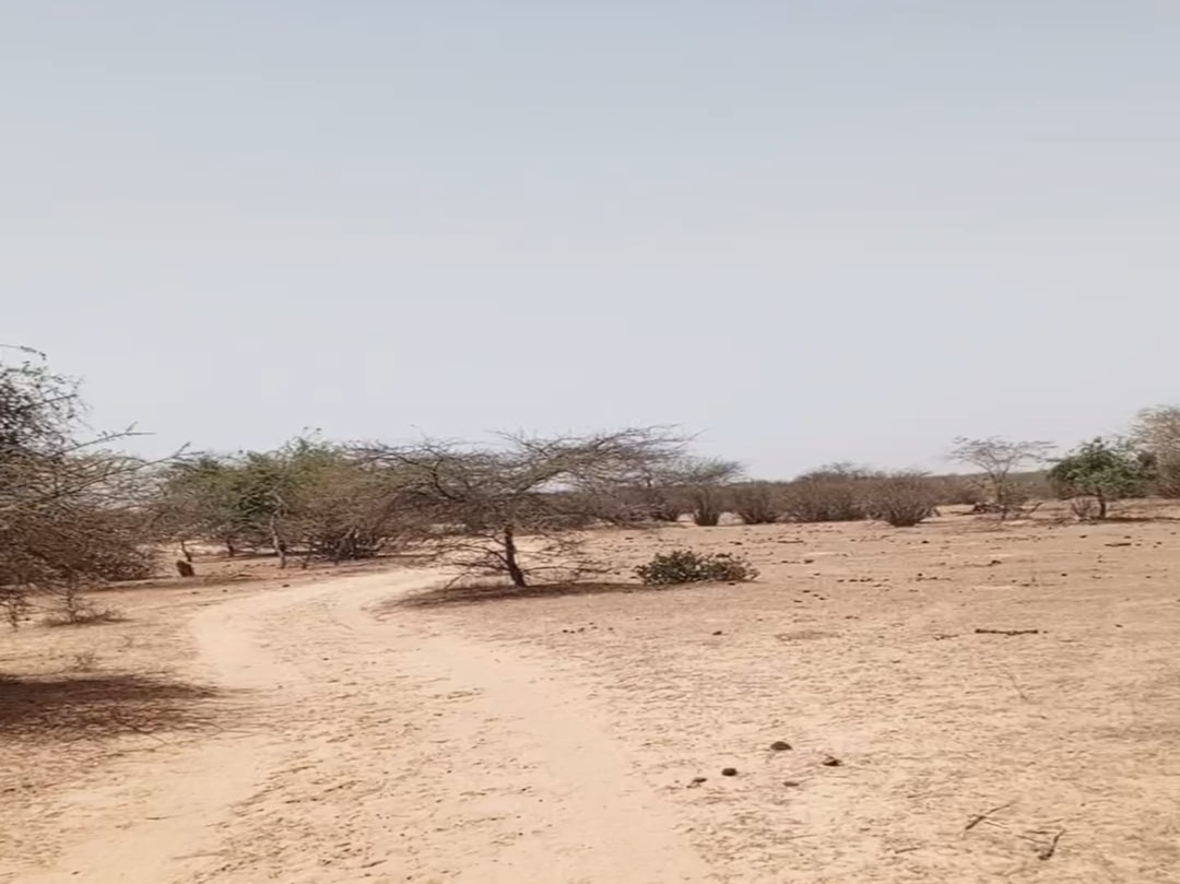 Terrain 10 ha à vendre – Ross Béthio, Saint-Louis