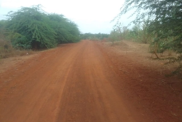 Verger 13 ha à vendre – Sindia, Mbour