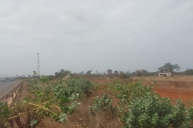 Verger 13 ha à vendre – Sindia, Mbour
