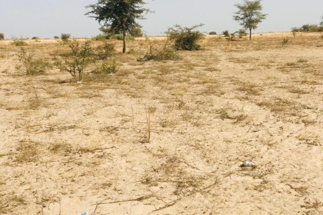 Terrain 2,28 ha à vendre – Cherif Lô, Tivaouane
