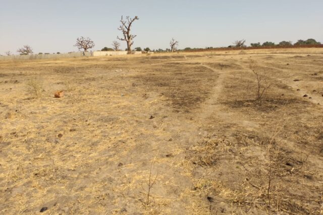 Terrain agricole 1,95 ha à vendre – Sandiara