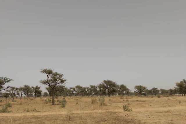 Terrain de 2,30 hectares vers Sindia