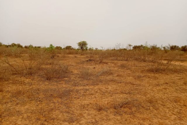 Terrain de 2 hectares vers Thiénaba