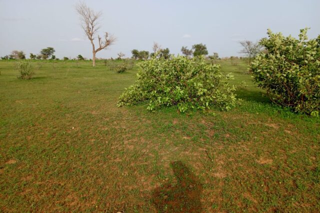 Terrain de 11,24 hectares vers Touba Lapé