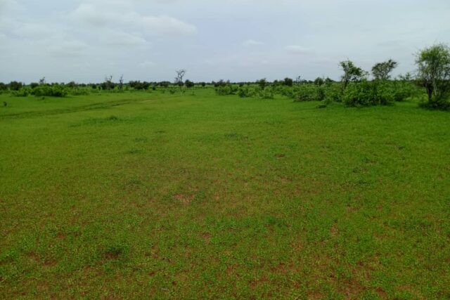 Terrain de 13 hectares vers Nghaye