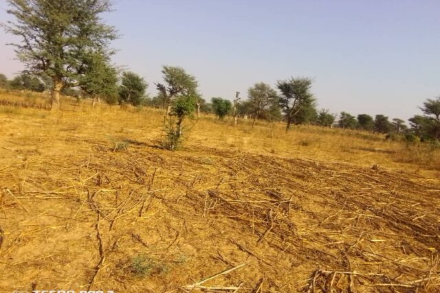 Terrain agricole de 1,50 ha à vendre à Notto Diobass – Sénégal