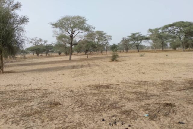Terrain de 1,56 hectare vers Keur Samba Kane