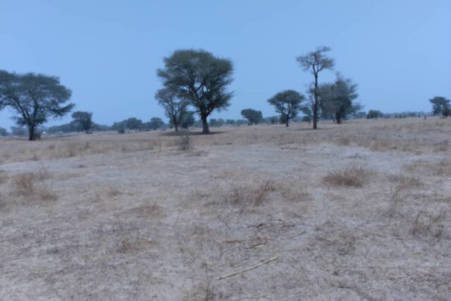 Terrain de 1,73 hectare vers Niakhar
