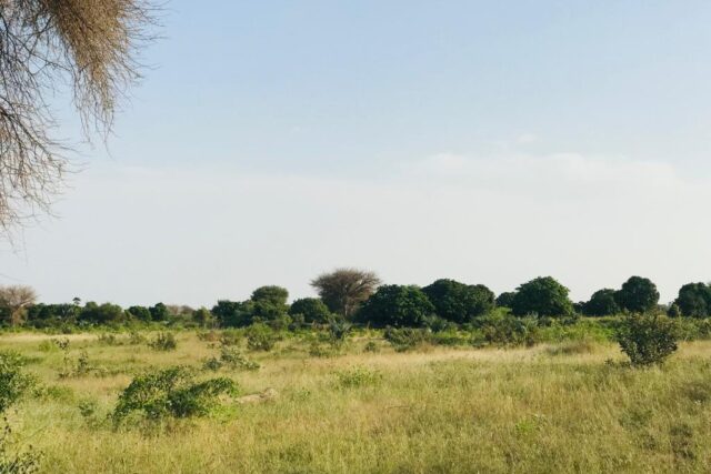 Terrain de 2,09 hectares vers Pire