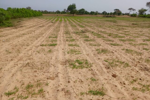 Terrain de 1,75 hectare vers Tassette