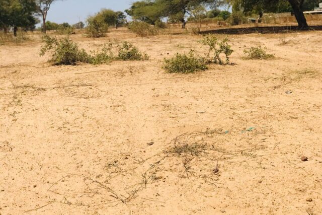 Terrain de 1,56 hectare vers Ngoundiane