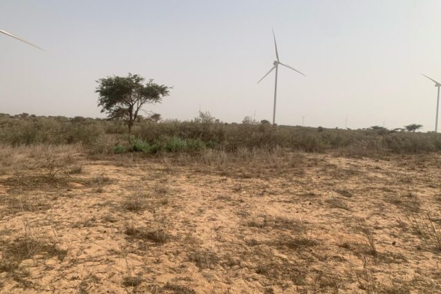 Terrain de 1,72 hectare vers Taiba Ndiaye