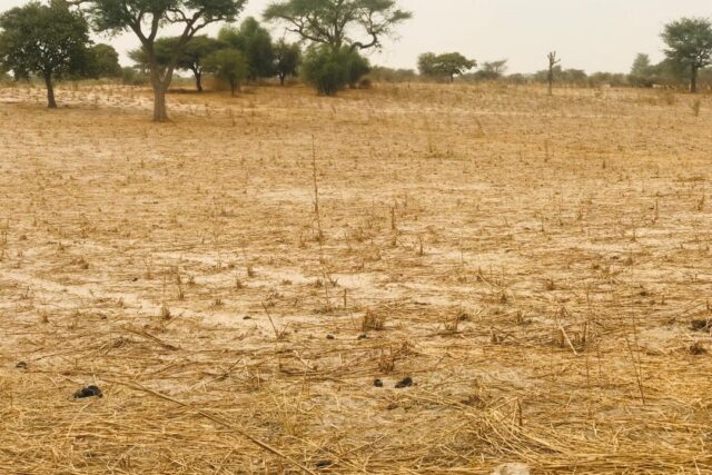 Terrain de 1,81 hectare vers Keur Samba Kane