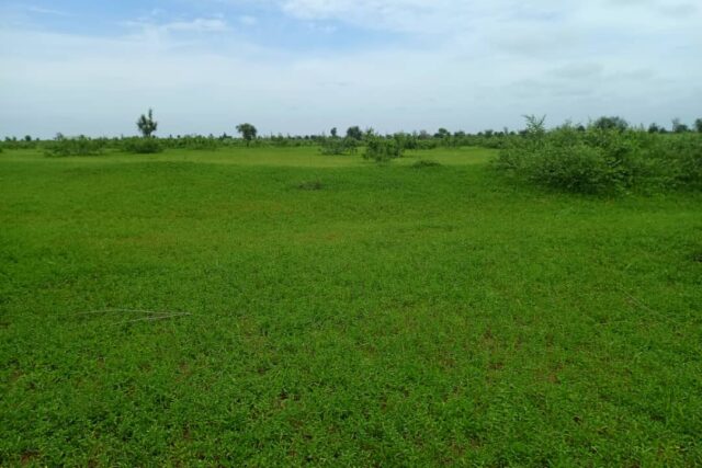 Terrain de 13 hectares vers Nghaye