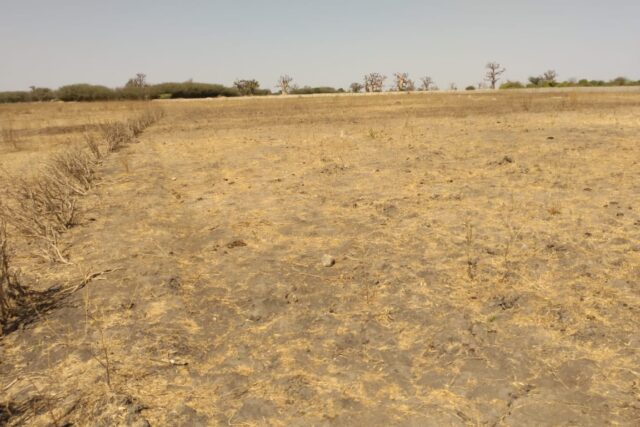 Terrain de 10 hectares vers Keur Samba Kane