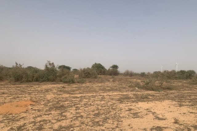 Terrain de 1,72 hectare vers Taiba Ndiaye