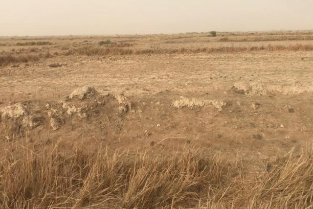 Terrain 1,86 ha à vendre – Keur Moussa, Thiès