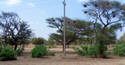 Terrain 21,05 ha à vendre – Thiénaba, Thiès
