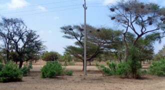 Terrain 21,05 ha à vendre – Thiénaba, Thiès