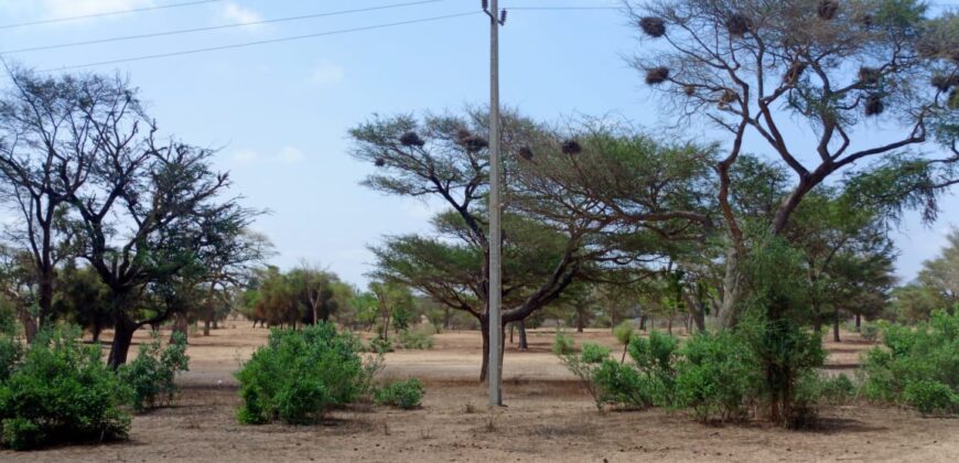 Terrain 21,05 ha à vendre – Thiénaba, Thiès