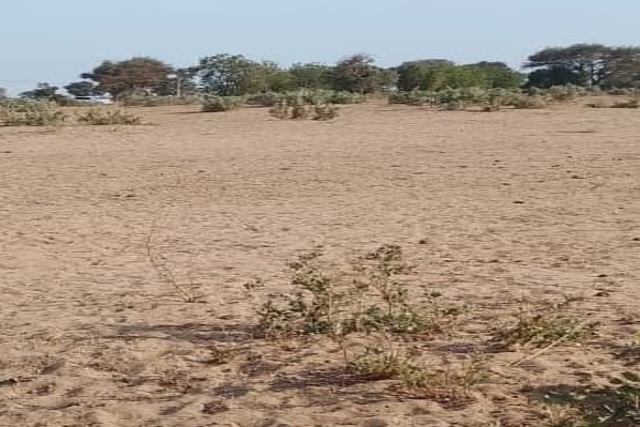Terrain 5 ha à vendre – Notto Diobass, Thiès