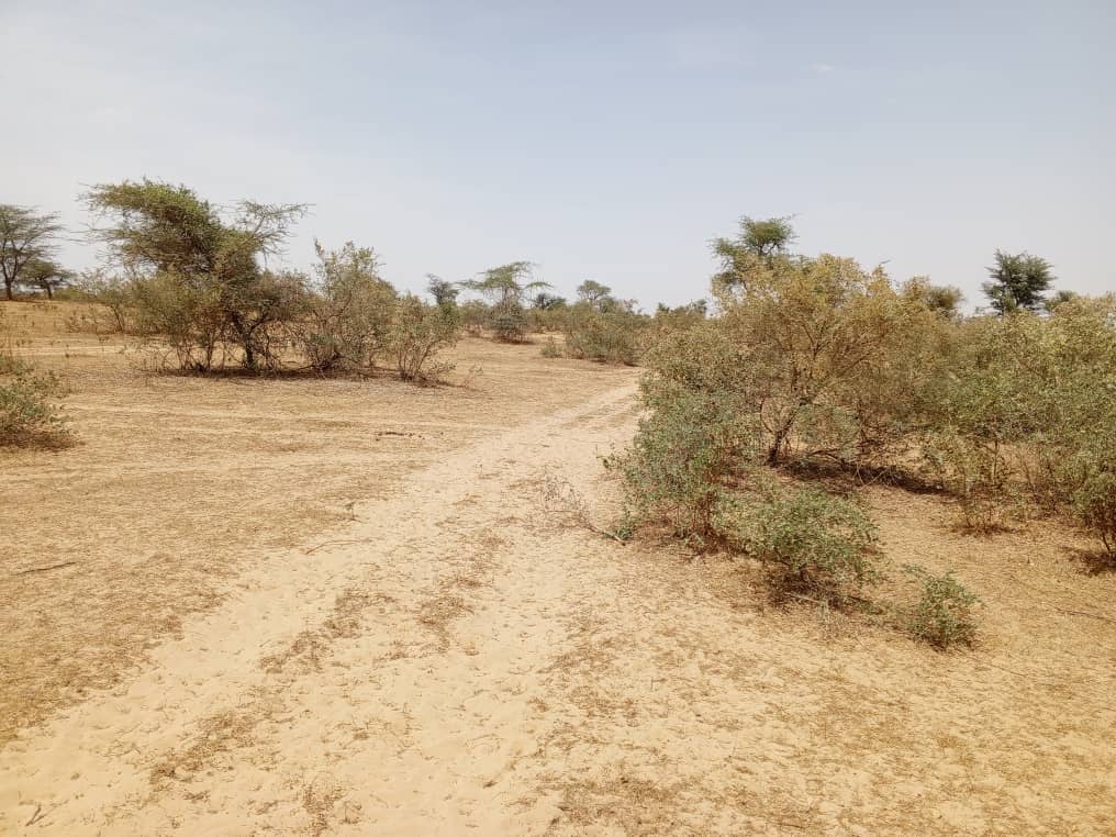 Terrain de 100 hectares vers Koul