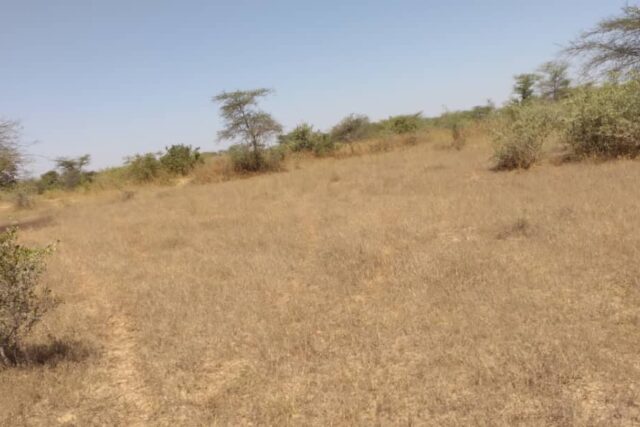 Terrain de 17 hectares vers Keur Samba Kane