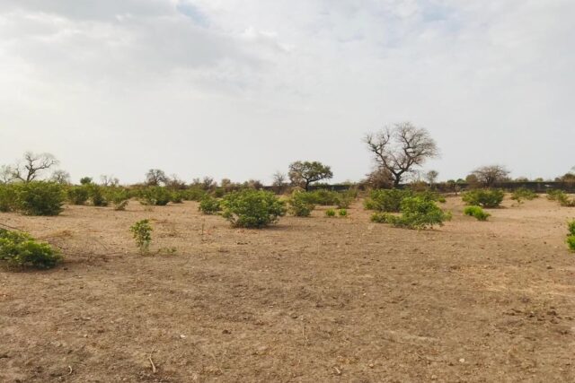 Terrain 2,3 ha à vendre – Koungheul, Kaffrine