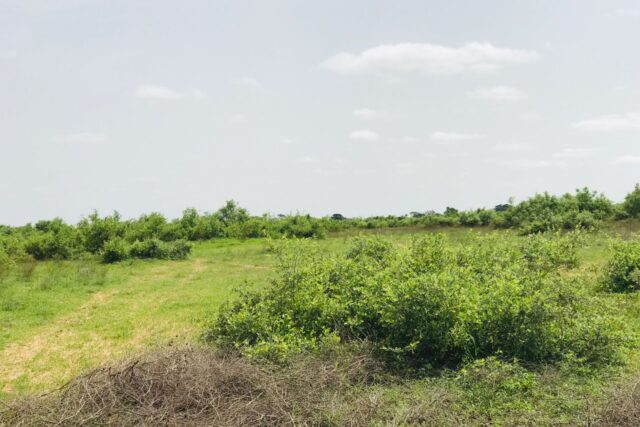Terrain de 1,50 hectare vers Notto Diobass
