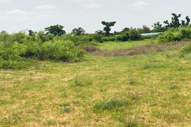 Terrain de 1,56 hectare vers Notto Diobass