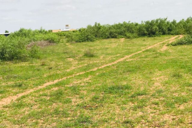 Terrain de 1,56 hectare vers Notto Diobass