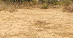 Terrain 1,60 ha à vendre – Cherif Lô, Thiès