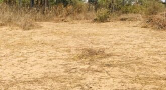 Terrain 1,60 ha à vendre – Cherif Lô, Thiès