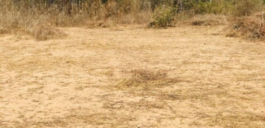 Terrain 1,60 ha à vendre – Cherif Lô, Thiès