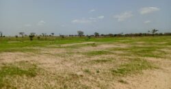Terrain 1,62 ha à vendre – Tassette, Thiès