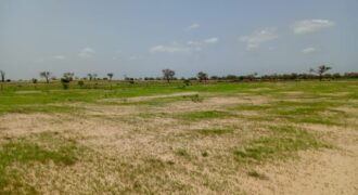 Terrain 1,62 ha à vendre – Tassette, Thiès