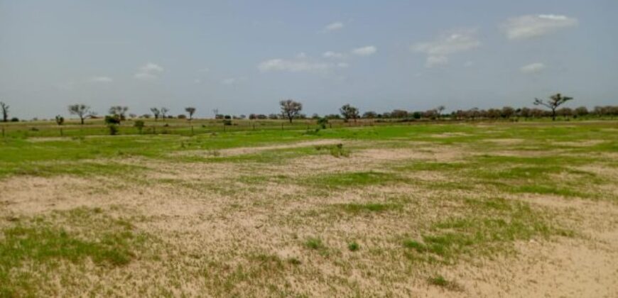 Terrain 1,62 ha à vendre – Tassette, Thiès