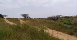 Terrain 1,83 ha à vendre – Diokoul Diewrigne, Louga