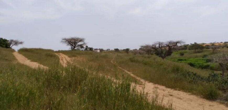 Terrain 1,83 ha à vendre – Diokoul Diewrigne, Louga